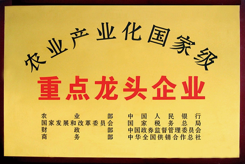 農(nóng)業(yè)產(chǎn)業(yè)化國家級龍頭企業(yè)