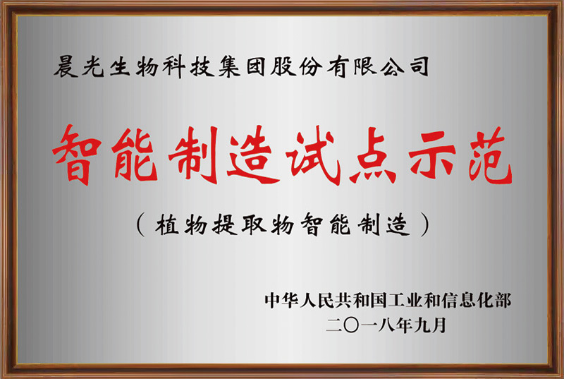 智能制造試點(diǎn)示范企業(yè)