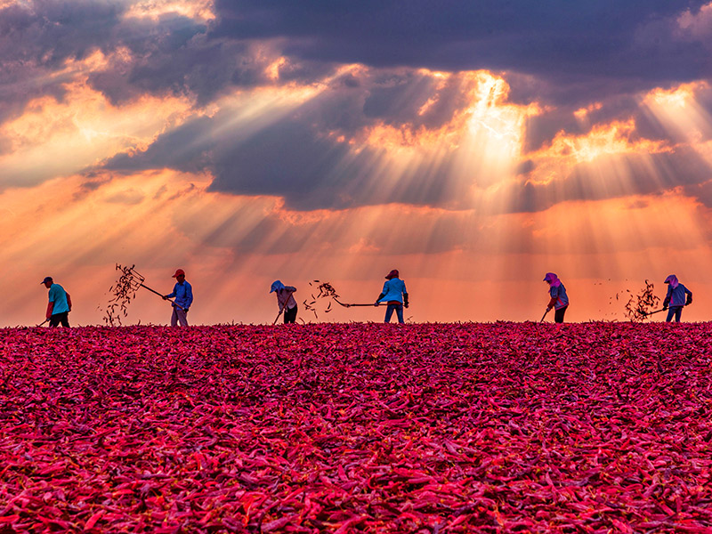 創(chuàng)造三個“世界第一”的晨光生物盧慶國：我是如何搞國際化的?