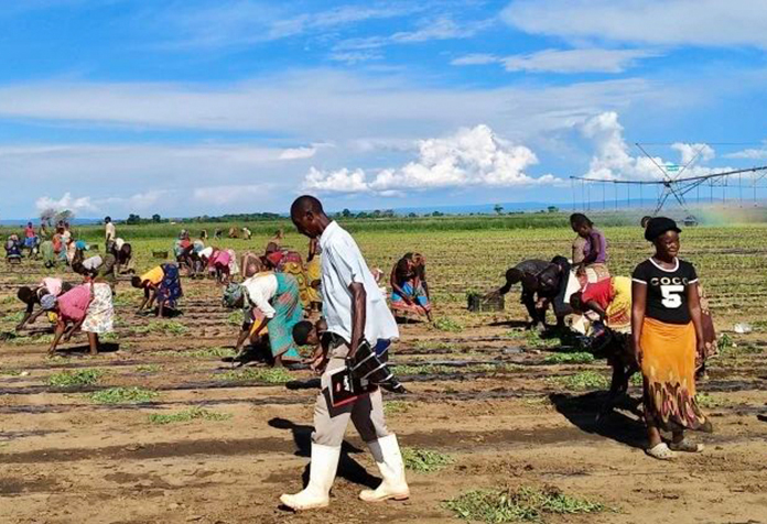 北京大學南南學院申報案例《人與企業(yè)共發(fā)展：晨光生物科技集團股份有限公司助力贊比亞貧民窟居民脫貧》榮獲“第四屆全球減貧案例征集活動”最佳減貧案例獎