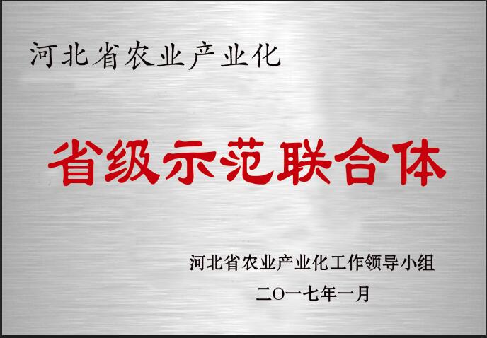 農(nóng)業(yè)產(chǎn)業(yè)化省級示范聯(lián)合體