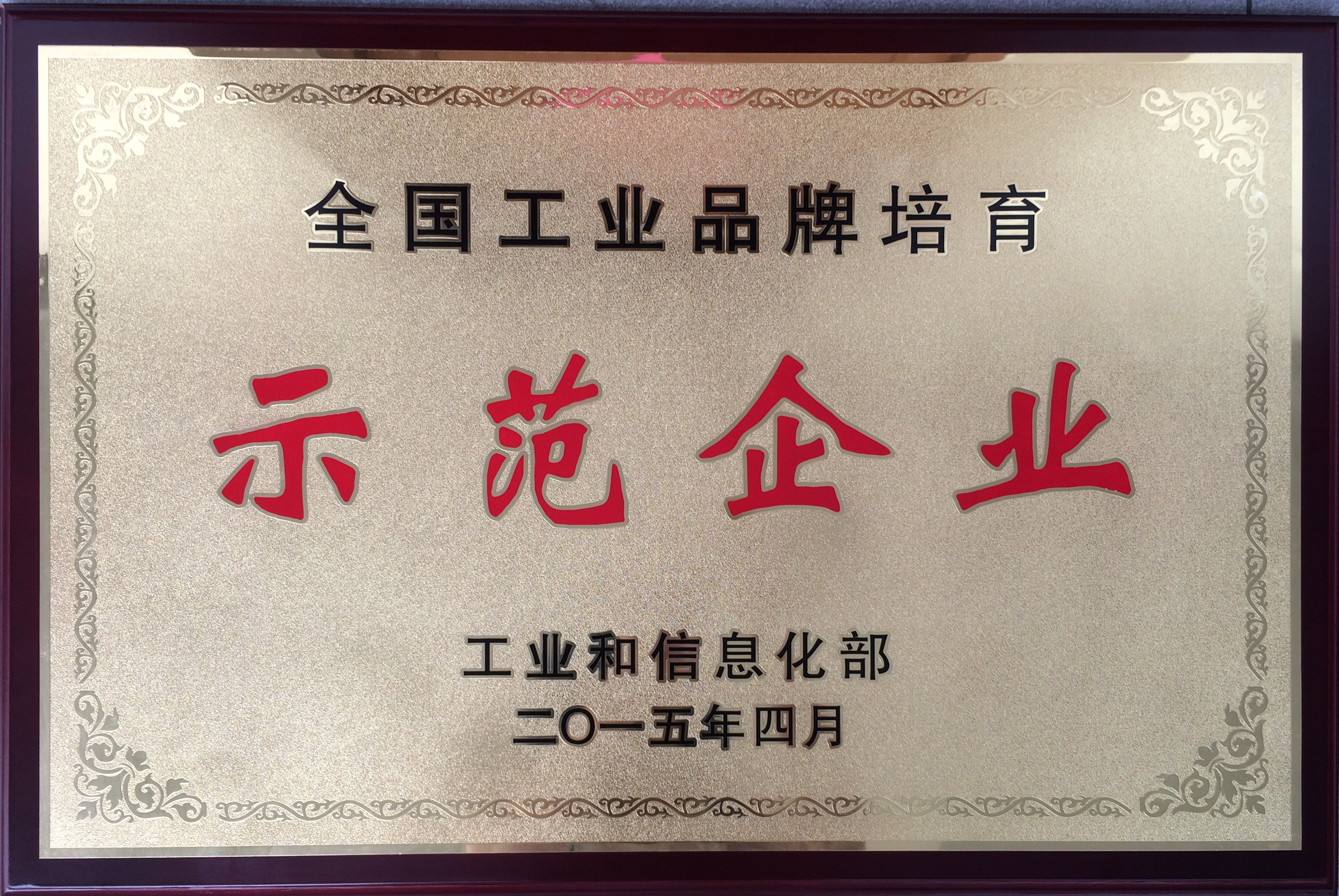 全國工業(yè)品牌培育示范企業(yè)