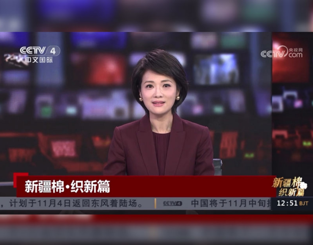 CCTV-4：【中國新聞】提高附加值 看棉籽“七十二變”