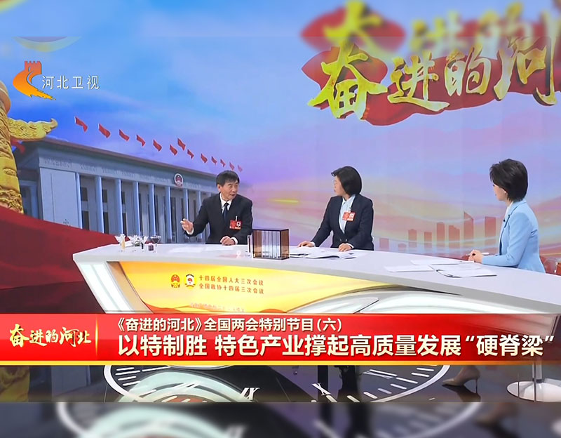 晨光生物董事長盧慶國做客《奮進的河北》全國兩會特別節(jié)目 ⑥丨以特制勝 特色產(chǎn)業(yè)撐起高質(zhì)量發(fā)展“硬脊梁”